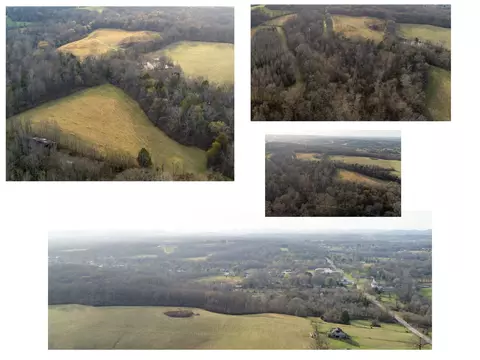 7 Bellenfant Rd, College Grove, TN 37046