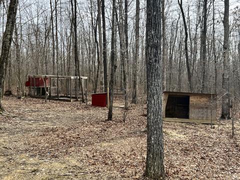 1652 Yoder Rd, Altamont, TN 37301 photo 27