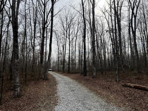 1652 Yoder Rd, Altamont, TN 37301 photo 3