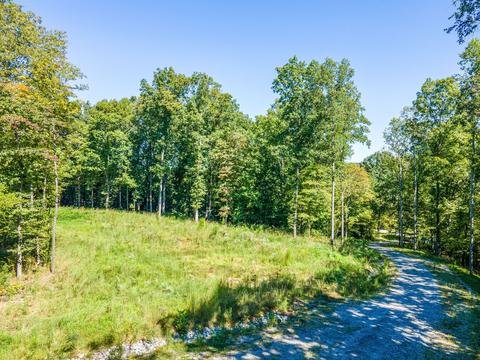 3 Liberty Rd, Fairview, TN 37062