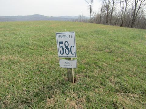 0 Walleye, Hilham, TN 38568 photo 2