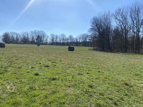 7 Ashburn # B, Springfield, TN 37172 photo 2