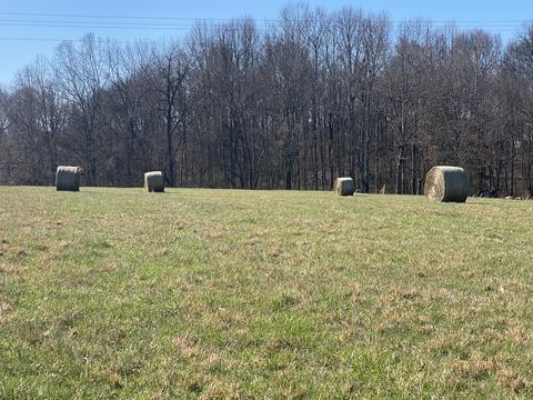 7 Ashburn # B, Springfield, TN 37172 photo 5