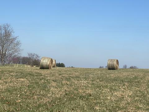 7 Ashburn # B, Springfield, TN 37172 photo 3