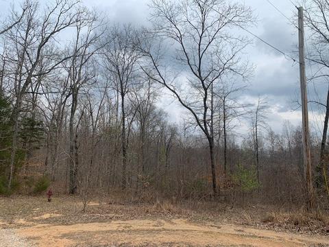 0 Forest Ln, Bon Aqua, TN 37025