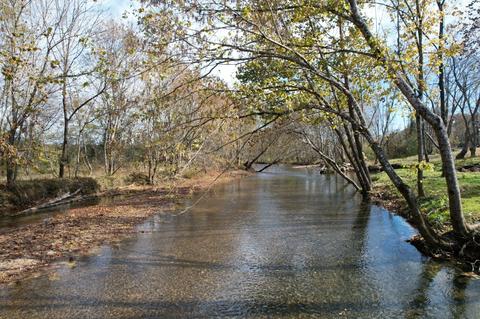 451 Backside Beaverdam Rd, Centerville, TN 37033 photo 62
