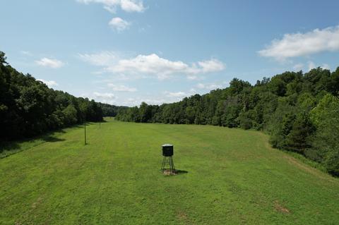 451 Backside Beaverdam Rd, Centerville, TN 37033 photo 67
