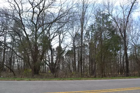 2 Southside Rd, Cunningham, TN 37052 photo 4