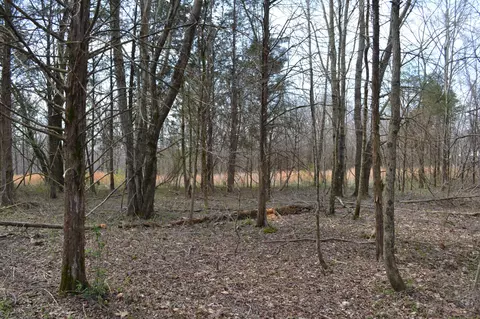 2 Southside Rd, Cunningham, TN 37052 photo 2