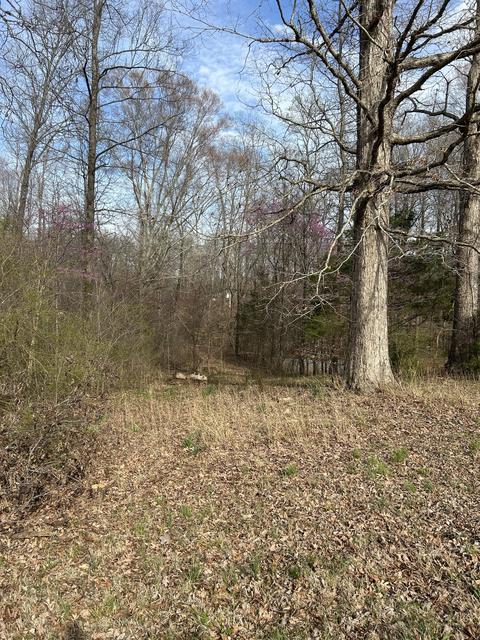 60 Henry Thompson Rd, Taft, TN 38488 photo 8