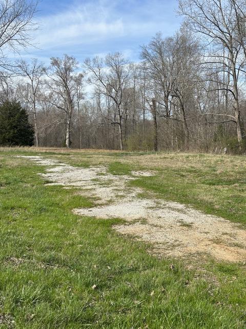 60 Henry Thompson Rd, Taft, TN 38488 photo 1