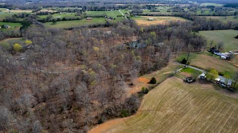 60 Henry Thompson Rd, Taft, TN 38488 photo 17