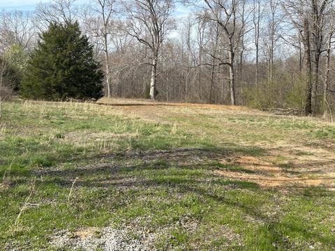 60 Henry Thompson Rd, Taft, TN 38488 photo 2