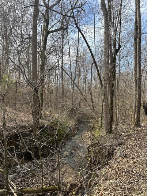 60 Henry Thompson Rd, Taft, TN 38488 photo 6