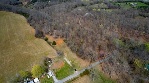 60 Henry Thompson Rd, Taft, TN 38488 photo 10