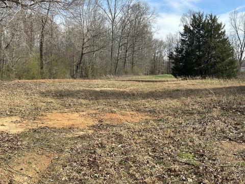 60 Henry Thompson Rd, Taft, TN 38488 photo 7
