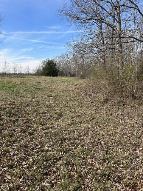 60 Henry Thompson Rd, Taft, TN 38488 photo 4