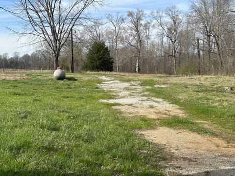 60 Henry Thompson Rd, Taft, TN 38488 photo 3