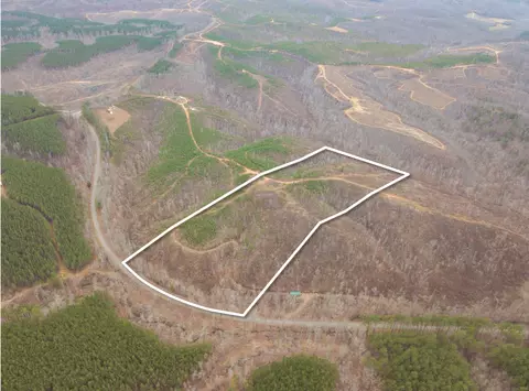 0 Sinking Creek Rd, Linden, TN 37096