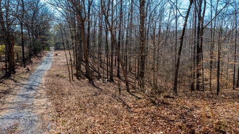 4105 Highway 70 E, White Bluff, TN 37187 photo 12