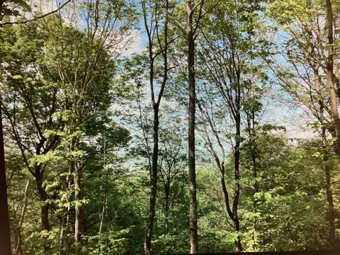 0 Lemont-yates Rd, Spencer, TN 38585