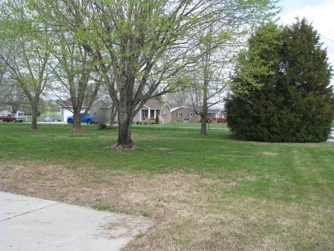 14 Eldon Dr, Manchester, TN 37355 photo 27