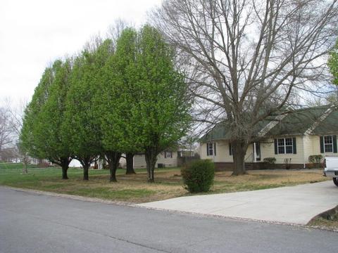 14 Eldon Dr, Manchester, TN 37355 photo 23
