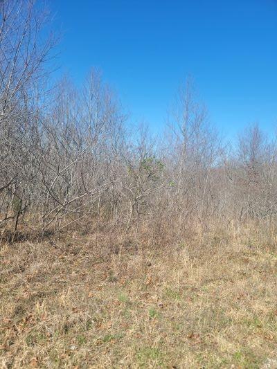 115 Warriors Path Ridge Rd, Summertown, TN 38483