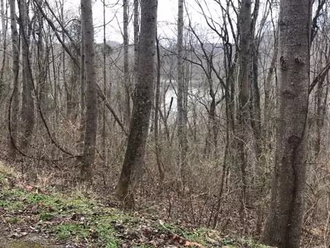 21 Aqua Vw, Silver Point, TN 38582