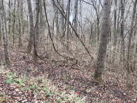 21 Aqua Vw, Silver Point, TN 38582 photo 3