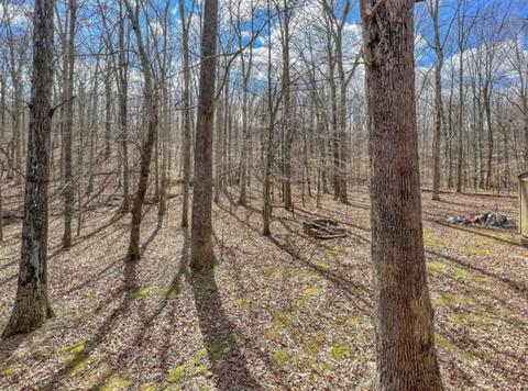 164 Sugar Maple Dr, Dover, TN 37058 photo 25