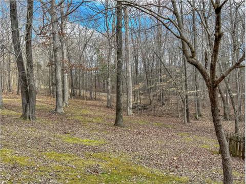 164 Sugar Maple Dr, Dover, TN 37058 photo 24