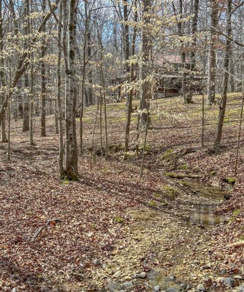164 Sugar Maple Dr, Dover, TN 37058 photo 23