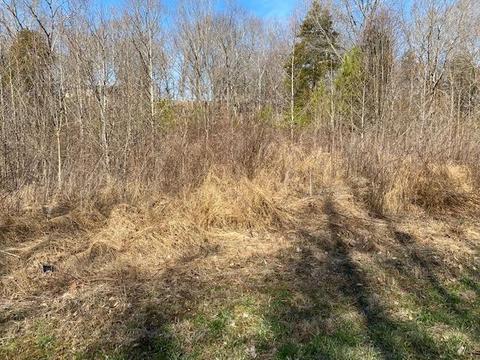 0 Spencer Ln, Big Sandy, TN 38221