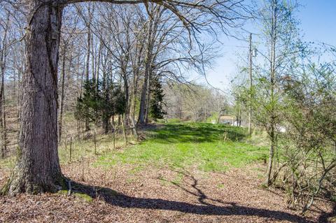 3297 Three Island Rd, Walling, TN 38587 photo 33