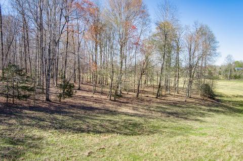 3297 Three Island Rd, Walling, TN 38587 photo 37