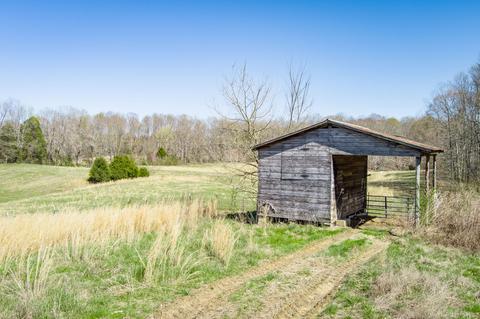 3297 Three Island Rd, Walling, TN 38587 photo 28
