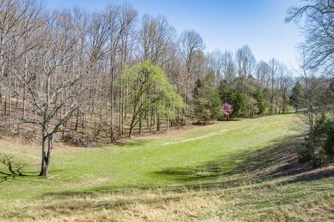3297 Three Island Rd, Walling, TN 38587 photo 35