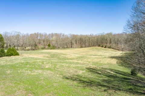 3297 Three Island Rd, Walling, TN 38587 photo 29