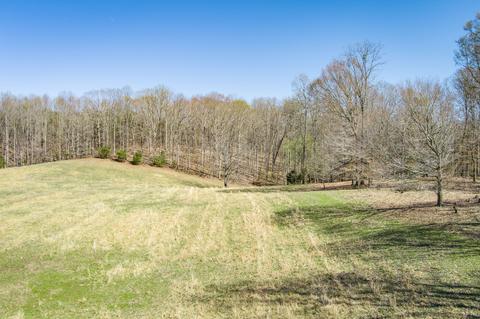 3297 Three Island Rd, Walling, TN 38587 photo 34