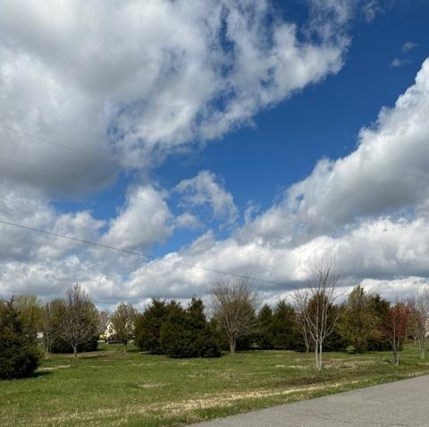 216 Old Martin Chapel Rd, Portland, TN 37148