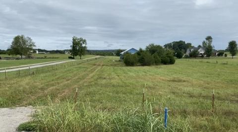 1882 Sawgrass Ln, Chapel Hill, TN 37034