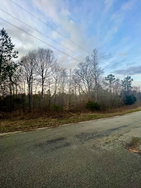 0 Hurst Rd, Henderson, TN 38340