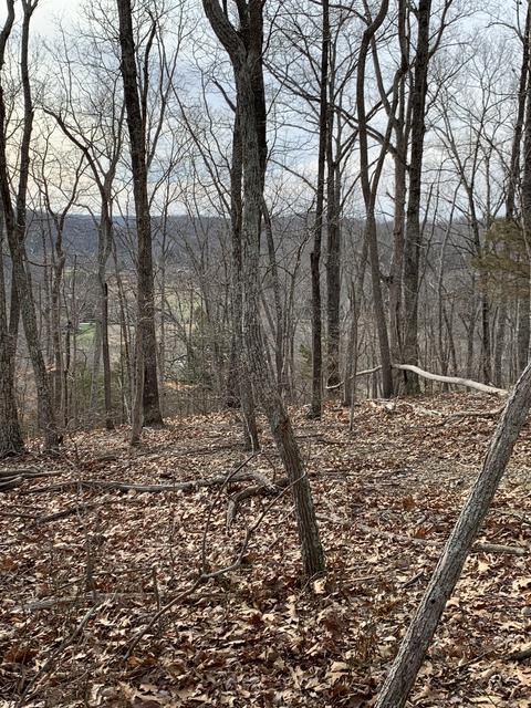 0 Hester Beasley Rd, Nashville, TN 37221