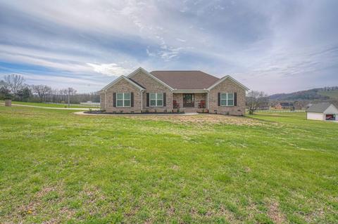 253 Barton Dr, Normandy, TN 37360 photo 1