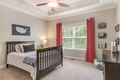 10672 Flicker Way, Apison, TN 37302 photo 19
