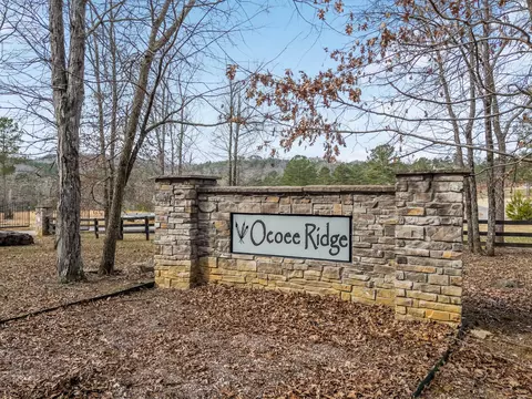 124 Bob White Rd, Ocoee, TN 37361 photo 6