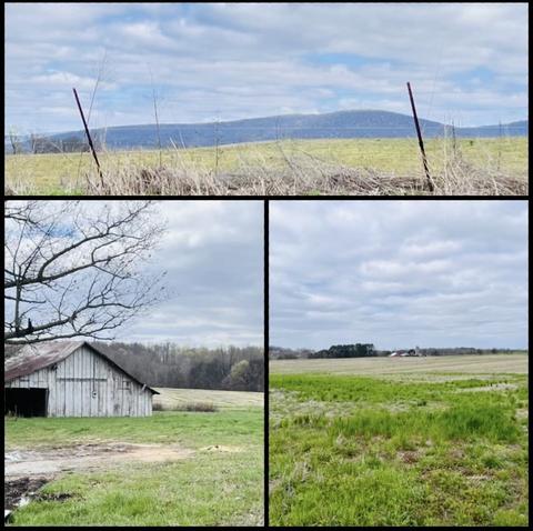 7289 Hillsboro Viola Rd, Manchester, TN 37355