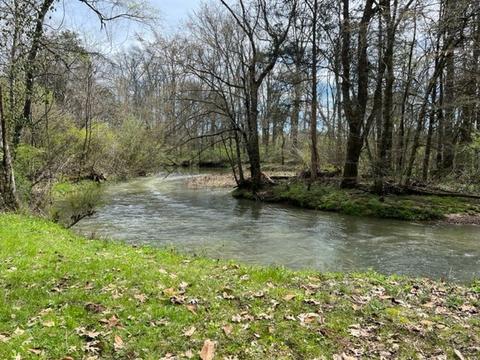 784 Blue Spring Rd, Decherd, TN 37324 photo 23