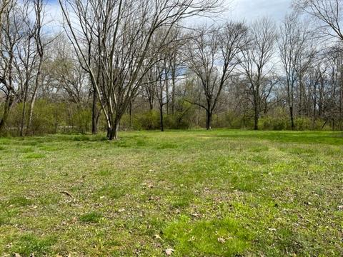784 Blue Spring Rd, Decherd, TN 37324 photo 27